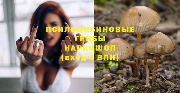 прущие грибы Алзамай